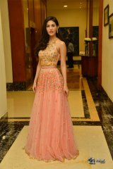 Amyra Dastur at Raju Gadu Movie Pre Release Event